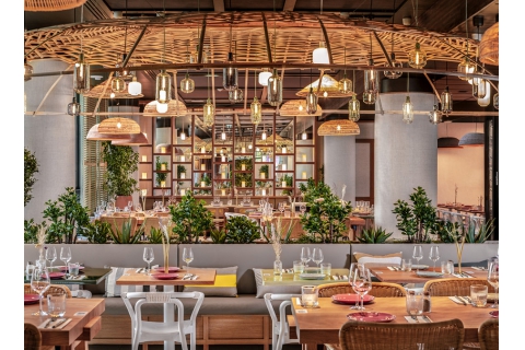  深圳的餐飲家具批發(fā)廠家，餐桌椅子批發(fā)市場在哪里？